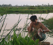 Groundwater dependent ecosystems support livelihoods in Vietnam ©IUCN Vietnam